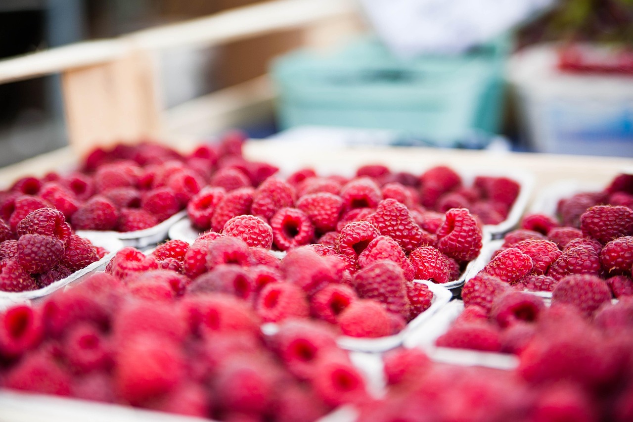 découvrez les bases de la segmentation de marché, une stratégie essentielle pour cibler efficacement vos clients. apprenez à diviser votre marché en segments spécifiques afin d'adapter vos offres et maximiser votre impact commercial.