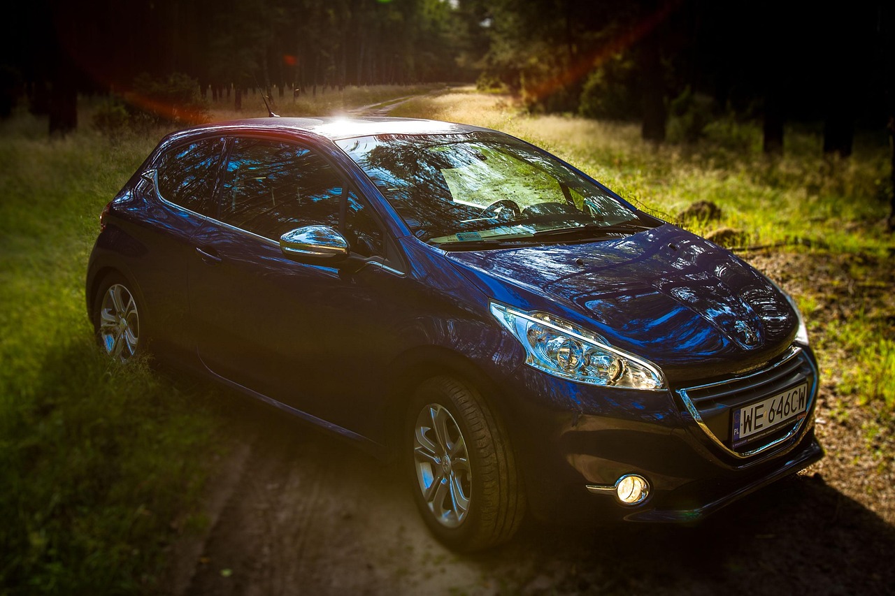 Comité d’entreprise Peugeot Mulhouse : découvrez les services et avantages offerts en 2025