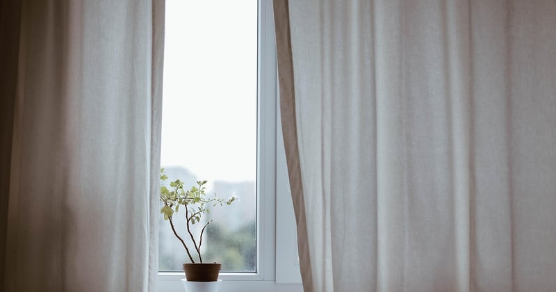 Desmodium et hypertension : la plante qui aide à réguler la tension naturellement