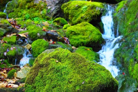 découvrez comment bâtir une marque forte avec des stratégies efficaces, une identité visuelle percutante et une connexion authentique avec votre public. renforcez votre présence sur le marché et fidélisez vos clients grâce à des conseils d'experts.