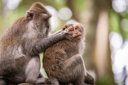 découvrez les tendances et les motivations des consommateurs avec notre analyse approfondie du comportement des consommateurs. apprenez comment ces facteurs influencent les décisions d'achat et façonnent le marché.