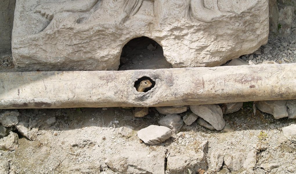 découvrez comment l’adaptation permet aux individus et aux organisations de faire face aux changements et de saisir de nouvelles opportunités dans un environnement en constante évolution.