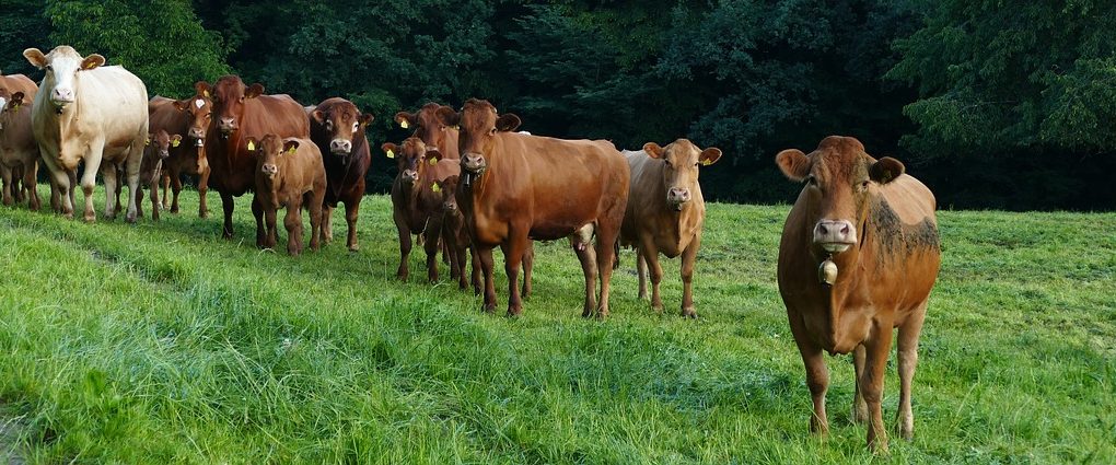 découvrez le rôle, la composition et les responsabilités d’un comité dans une organisation. comprenez comment un committee facilite la prise de décision collective et l’atteinte des objectifs communs.