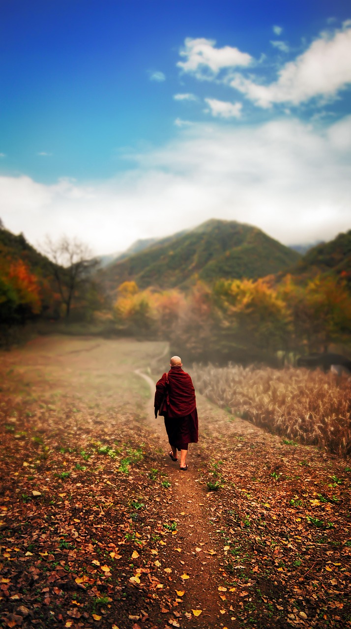 découvrez les meilleures sorties culturelles : expositions, concerts, musées et spectacles à ne pas manquer pour enrichir vos loisirs et éveiller votre curiosité.