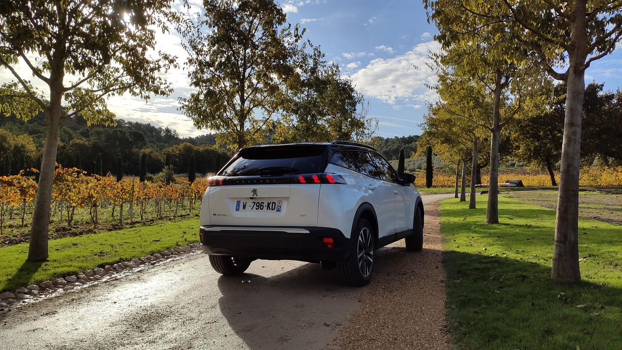 découvrez le rôle et les missions du comité d'entreprise peugeot : avantages pour les salariés, organisation des activités sociales, défense des intérêts des employés et informations pratiques sur le fonctionnement du ce peugeot.