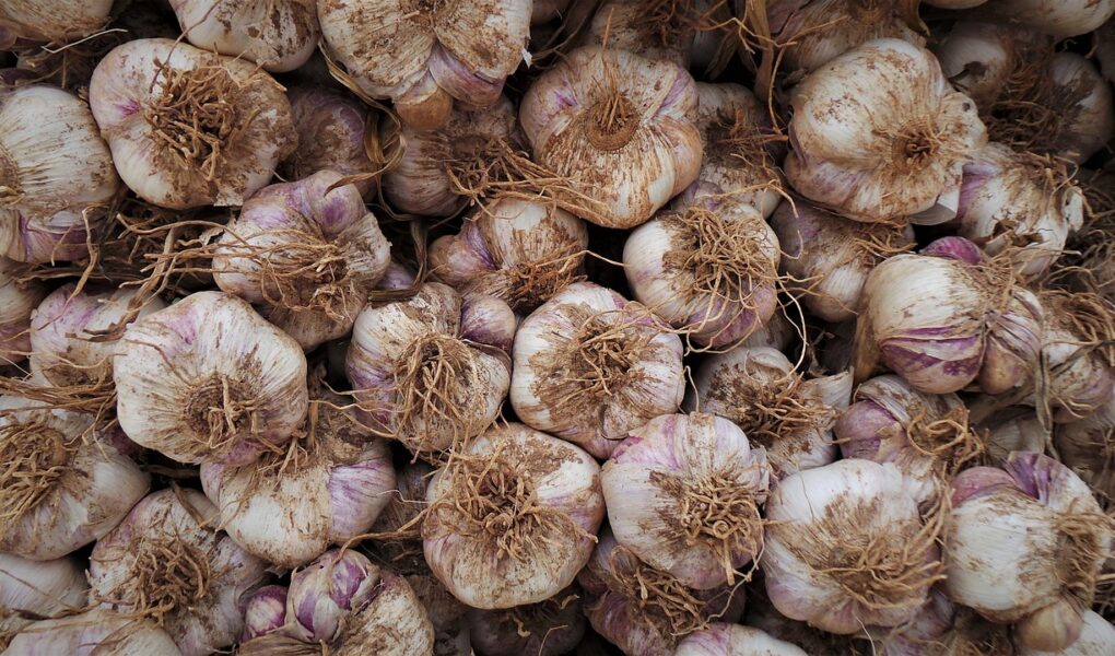 découvrez comment améliorer votre bien-être au quotidien grâce à des conseils pratiques, des astuces santé et des ressources inspirantes pour une vie plus équilibrée et épanouissante.