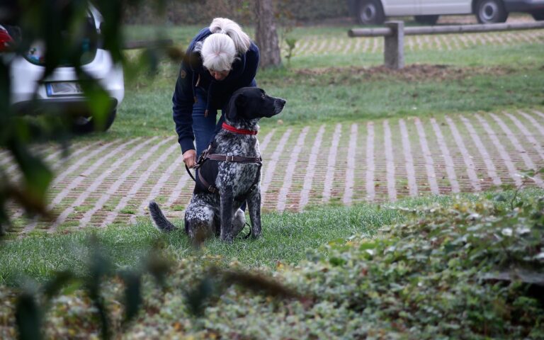 formation en recherche payante pour maîtriser les campagnes publicitaires en ligne et optimiser votre retour sur investissement.